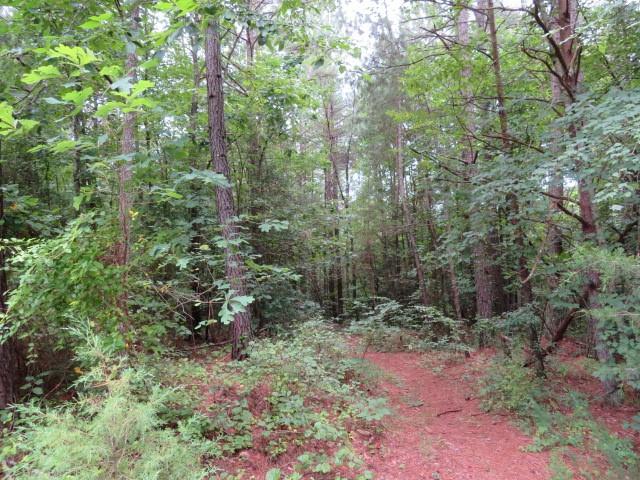 Lot 1 Hubbard Road, Unit LOT 1 Hickory, NC 28601 - Photo 8 of 15 Gallery Image 8