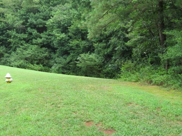 Lot 1 Hubbard Road, Unit LOT 1 Hickory, NC 28601 - Photo 9 of 15 Gallery Image 9