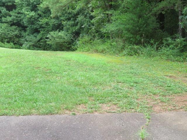 Lot 1 Hubbard Road, Unit LOT 1 Hickory, NC 28601 - Photo 10 of 15 Gallery Image 10