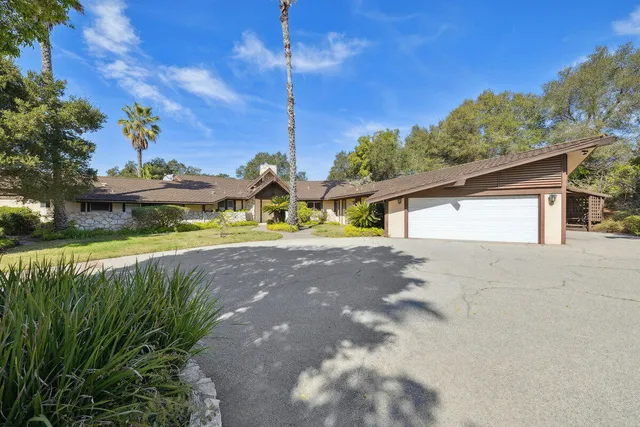 a view of a big yard with potted plants
