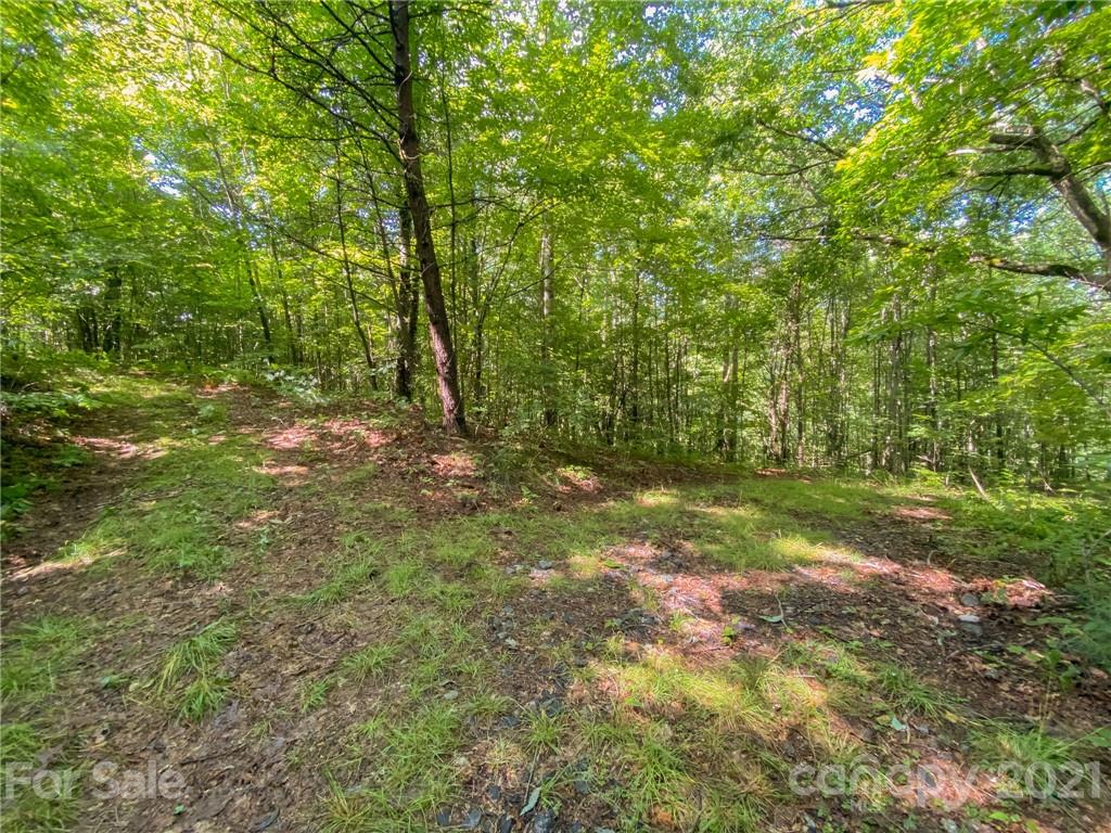 0 Canada Road, Unit 8 Tuckasegee, NC 28783 - Photo 1 of 22 Gallery Image 1