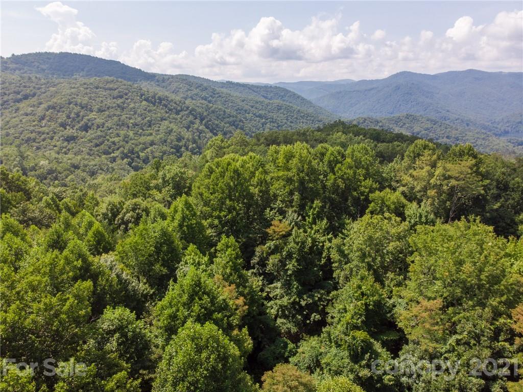 0 Canada Road, Unit 8 Tuckasegee, NC 28783 - Photo 11 of 22 Gallery Image 11