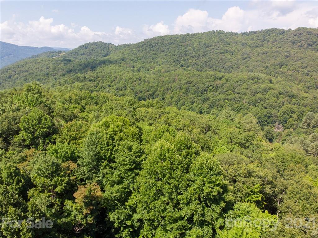 0 Canada Road, Unit 8 Tuckasegee, NC 28783 - Photo 12 of 22 Gallery Image 12