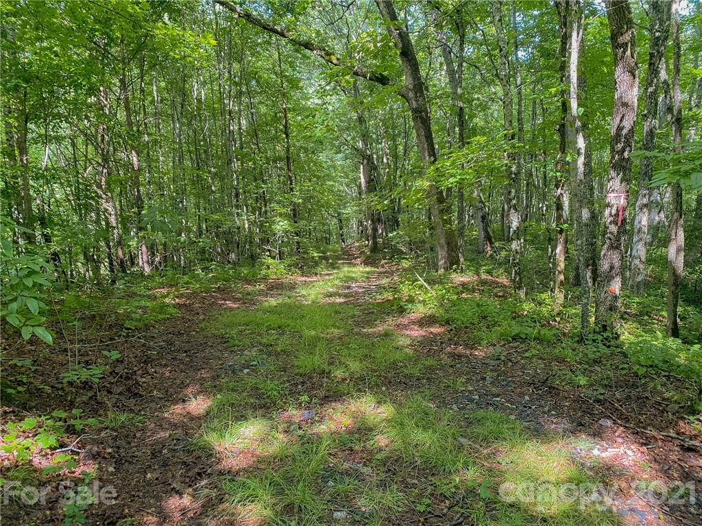 0 Canada Road, Unit 8 Tuckasegee, NC 28783 - Photo 13 of 22 Gallery Image 13