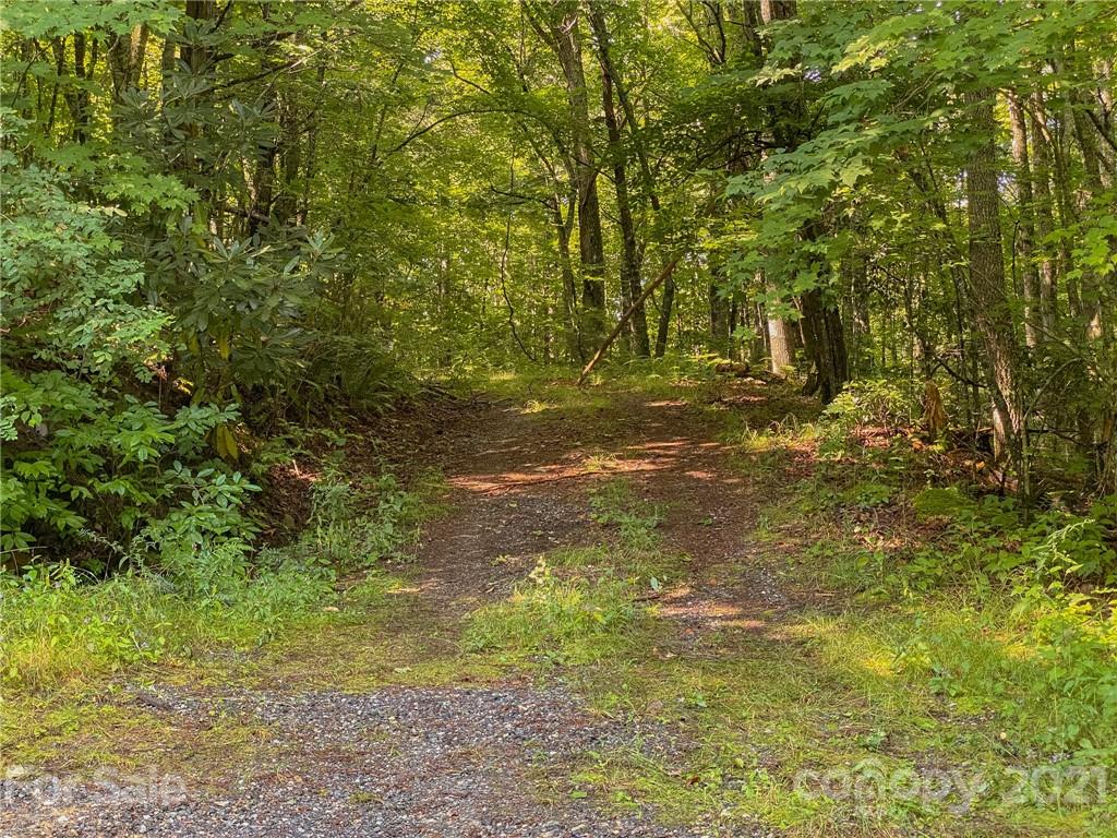 0 Canada Road, Unit 8 Tuckasegee, NC 28783 - Photo 14 of 22 Gallery Image 14