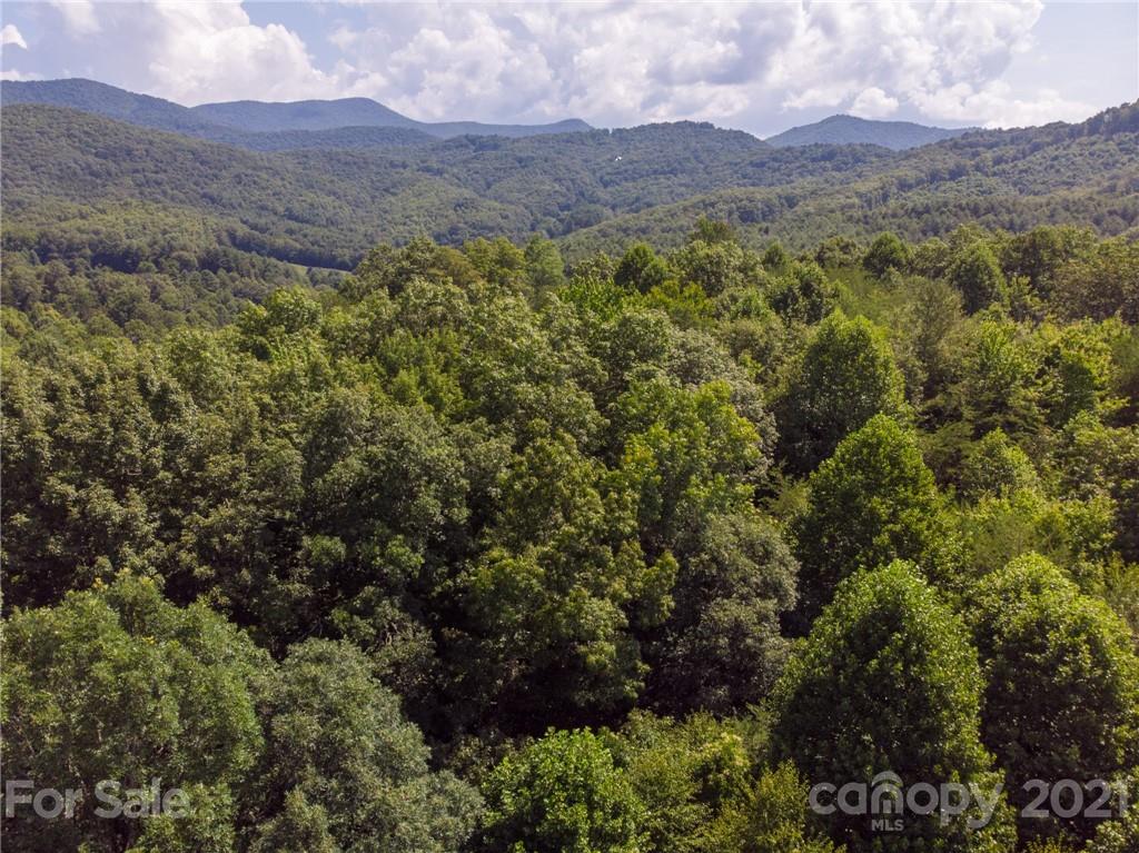 0 Canada Road, Unit 8 Tuckasegee, NC 28783 - Photo 16 of 22 Gallery Image 16