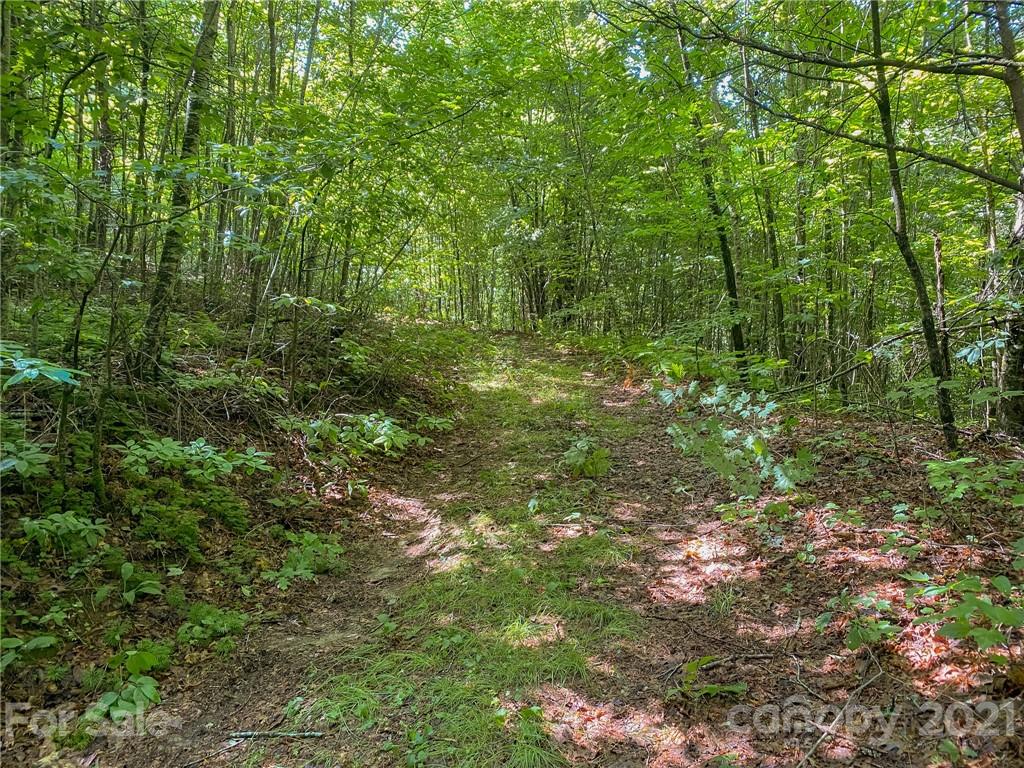0 Canada Road, Unit 8 Tuckasegee, NC 28783 - Photo 3 of 22 Gallery Image 3