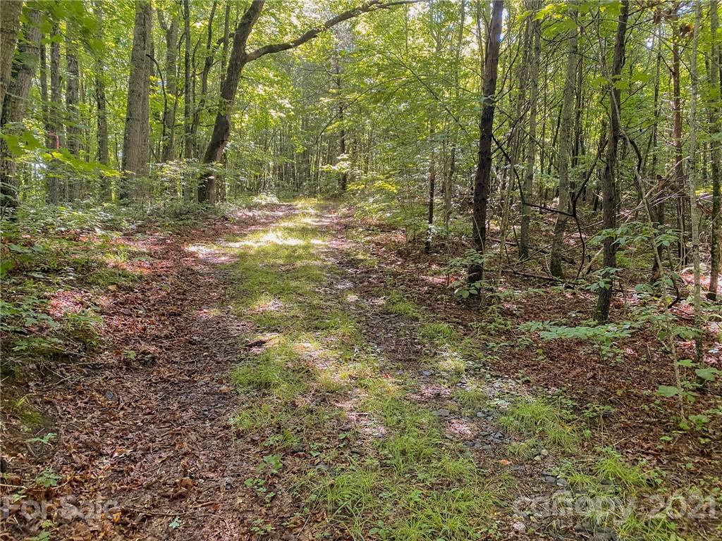 0 Canada Road, Unit 8 Tuckasegee, NC 28783 - Photo 21 of 22 Gallery Image 21