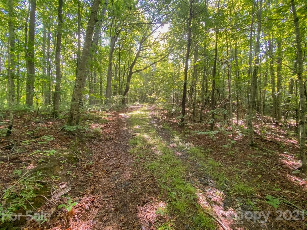 0 Canada Road, Unit 8 Tuckasegee, NC 28783 - Photo 22 of 22 Gallery Image 22