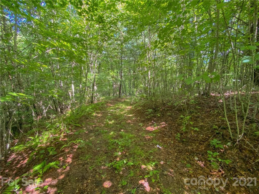0 Canada Road, Unit 8 Tuckasegee, NC 28783 - Photo 6 of 22 Gallery Image 6