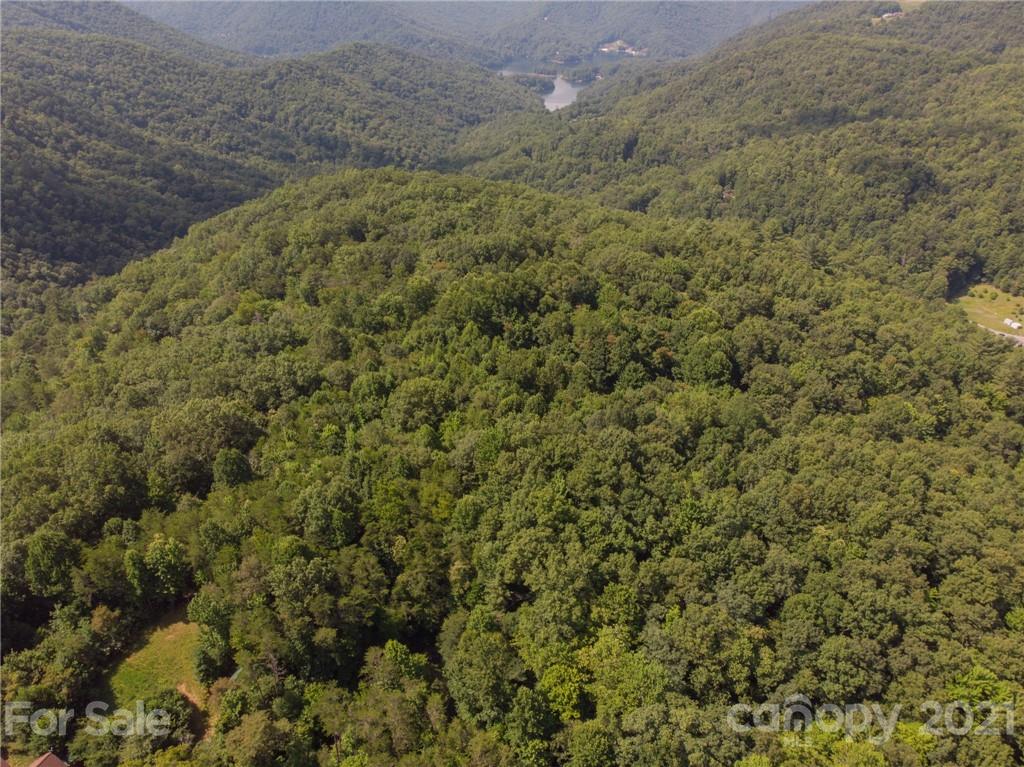 0 Canada Road, Unit 8 Tuckasegee, NC 28783 - Photo 7 of 22 Gallery Image 7