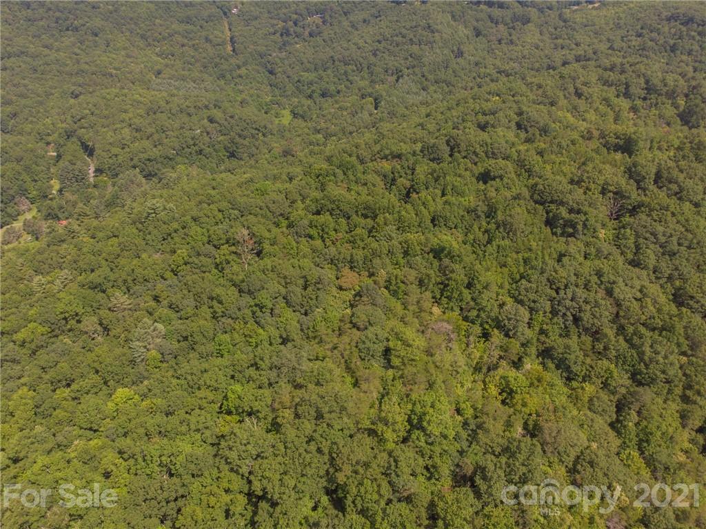 0 Canada Road, Unit 8 Tuckasegee, NC 28783 - Photo 9 of 22 Gallery Image 9