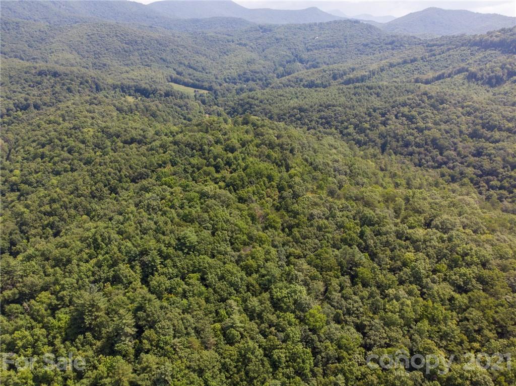 0 Canada Road, Unit 8 Tuckasegee, NC 28783 - Photo 10 of 22 Gallery Image 10