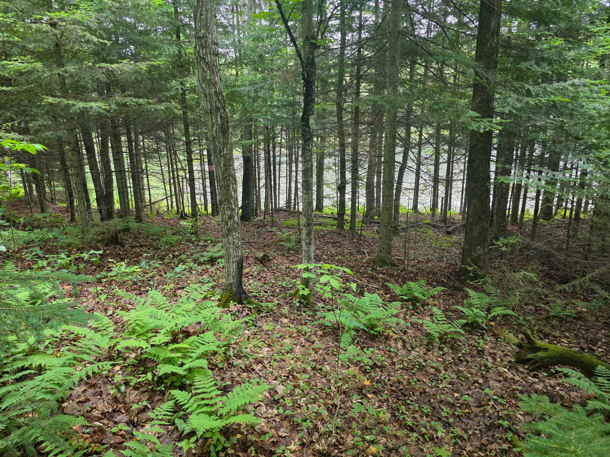 2468 Boat Landing Road Watersmeet, MI 49969 - Photo 2 of 6 Gallery Image 2
