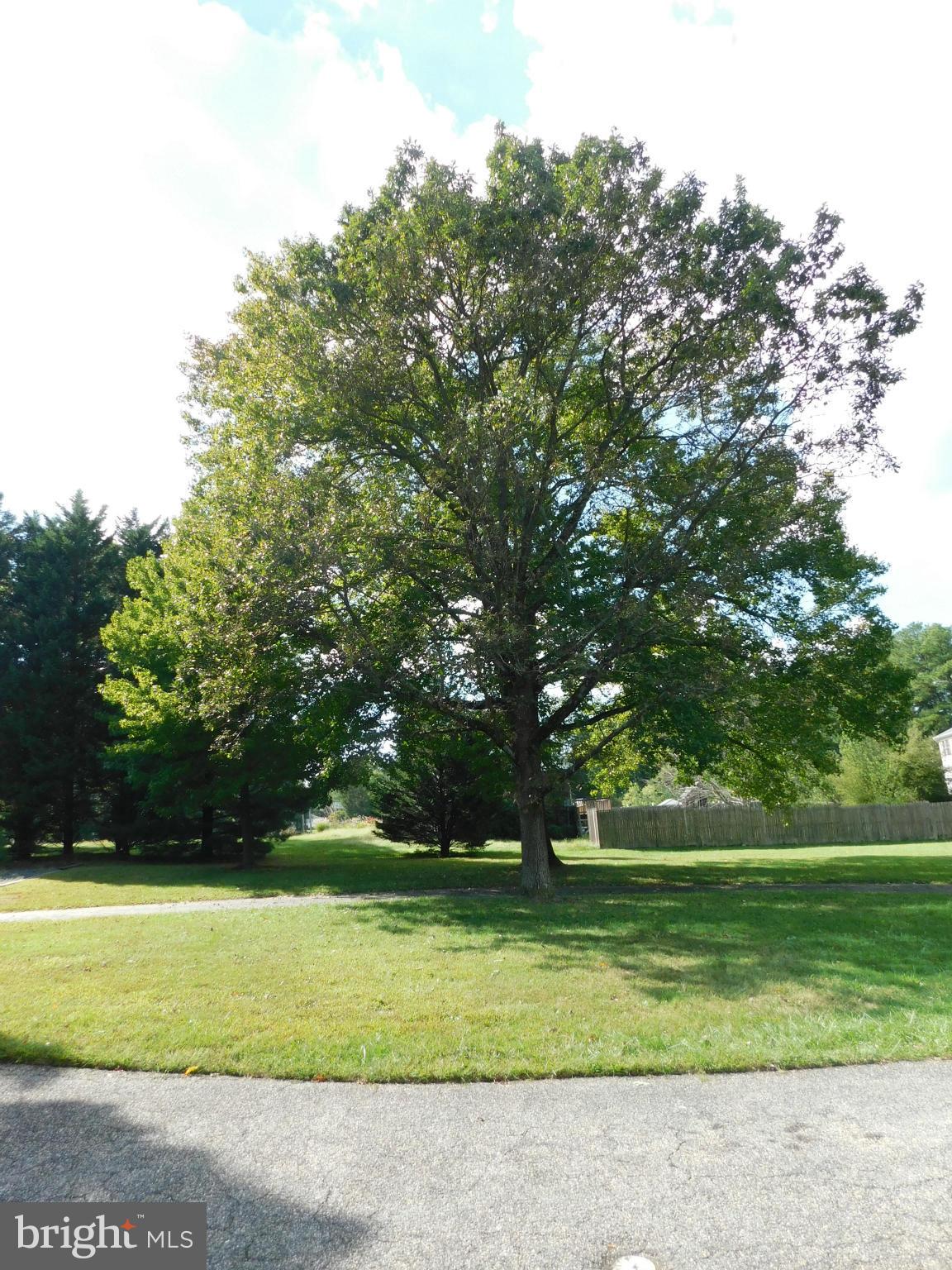 1708 Philadelphia Road Joppa, MD 21085 - Photo 27 of 29 Side Yard