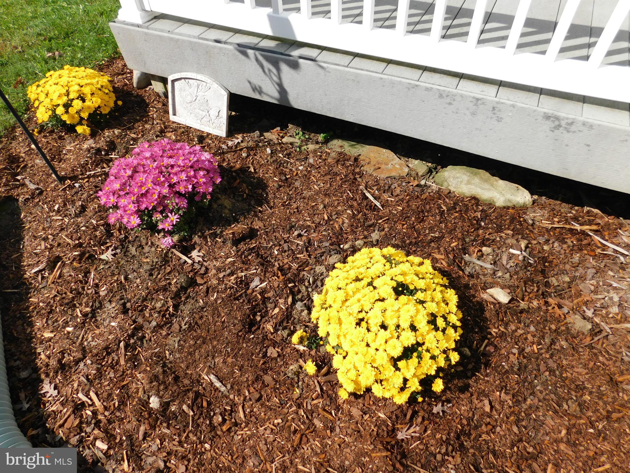 1708 Philadelphia Road Joppa, MD 21085 - Photo 28 of 29 Pretty Landscaping