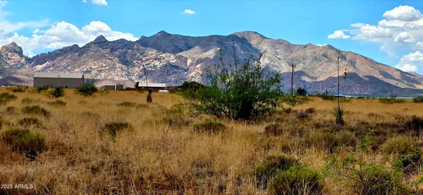 $7,700 | Lot 1 Willcox Road, Unit 1, Pearce, AZ 85625