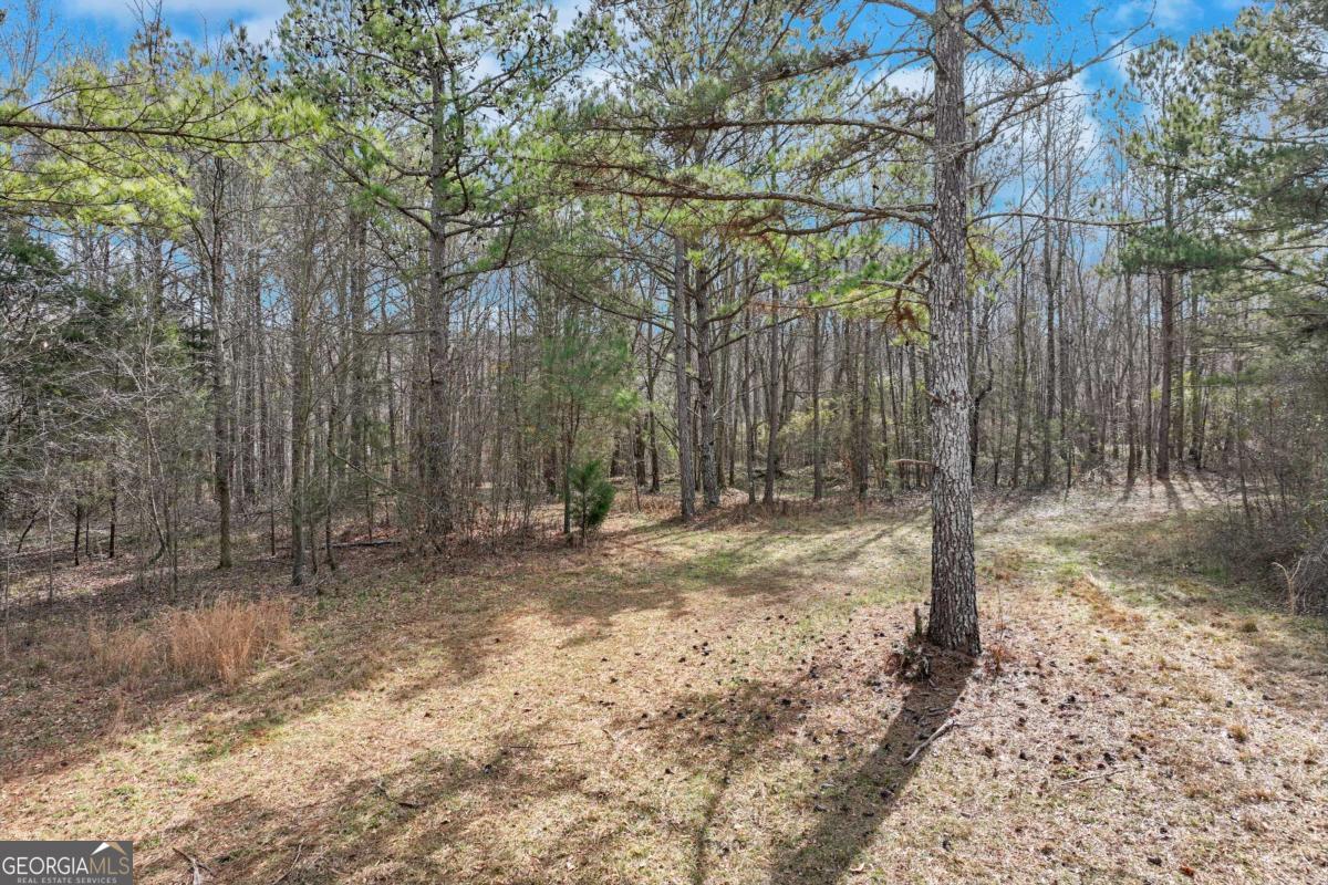 1423 Hargrove Lake Road Colbert, GA 30628 - Photo 1 of 1 a view of a yard with trees
