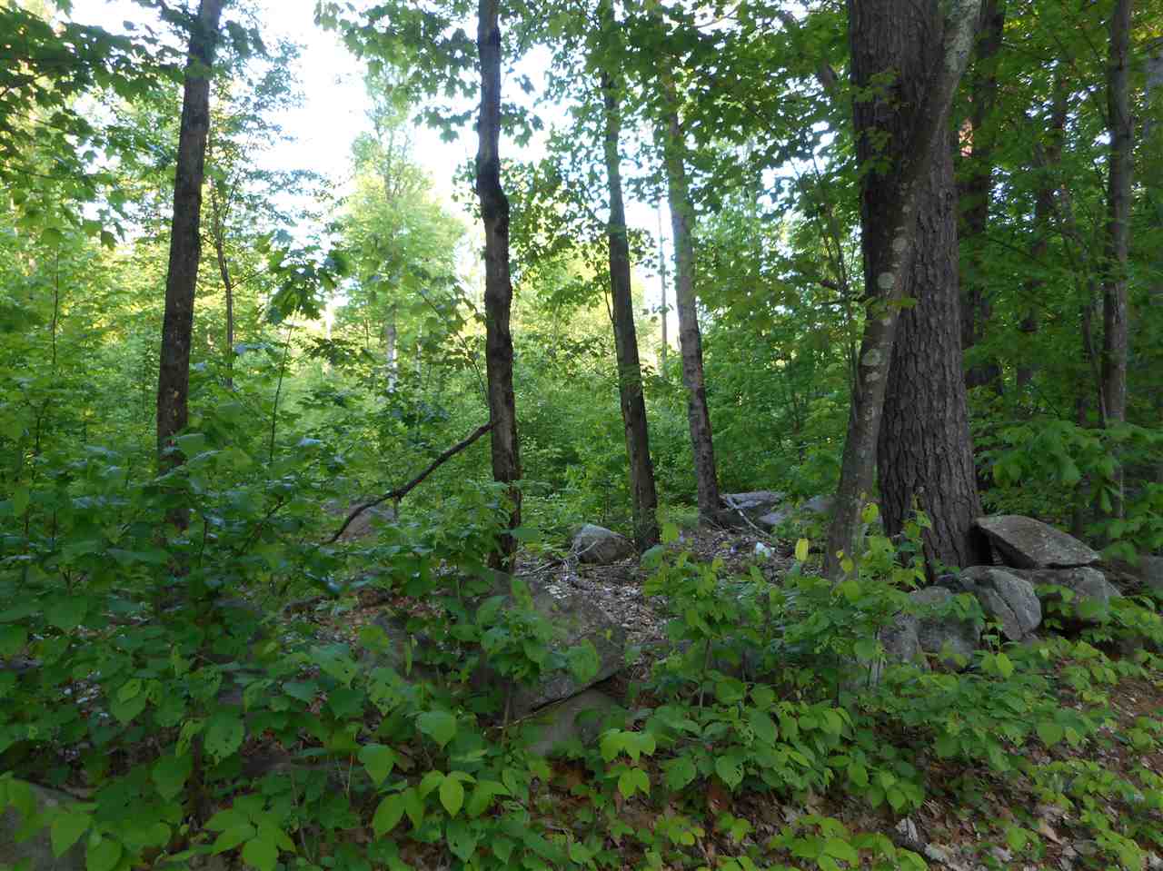595 Mammoth Road Londonderry, NH 03053 - Photo 1 of 8