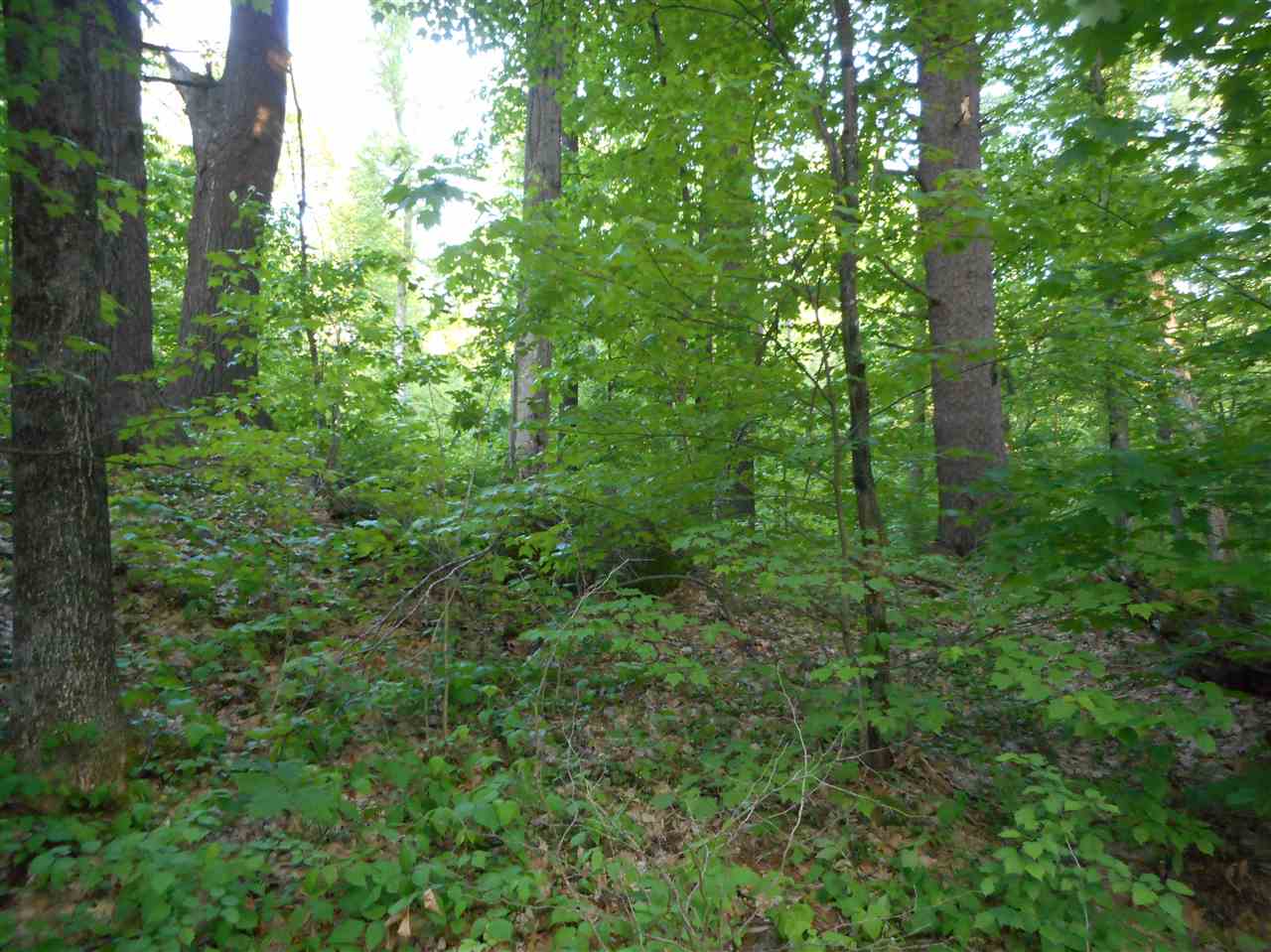 595 Mammoth Road Londonderry, NH 03053 - Photo 3 of 8