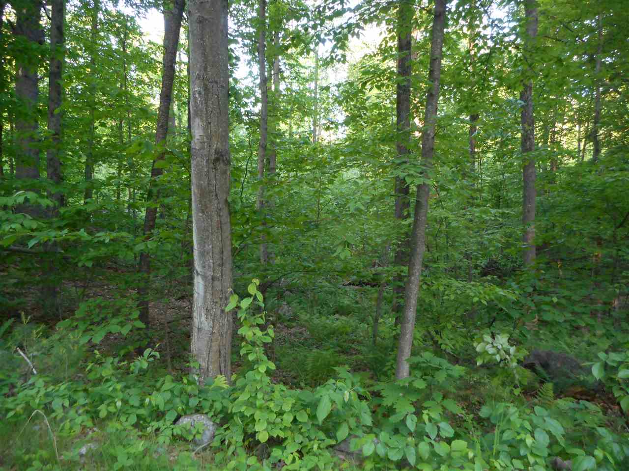 595 Mammoth Road Londonderry, NH 03053 - Photo 4 of 8