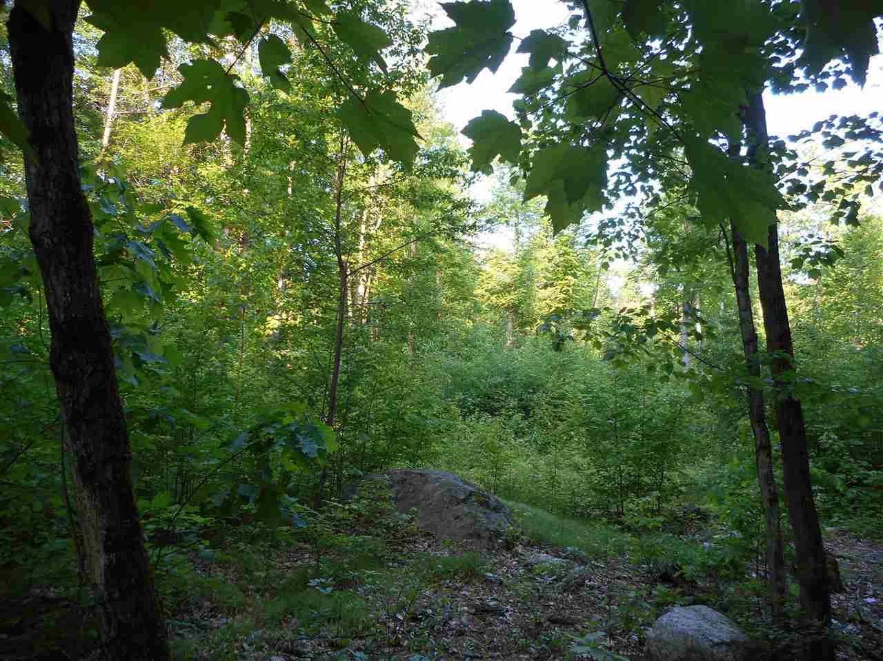 595 Mammoth Road Londonderry, NH 03053 - Photo 5 of 8