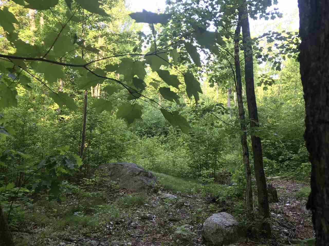 595 Mammoth Road Londonderry, NH 03053 - Photo 8 of 8