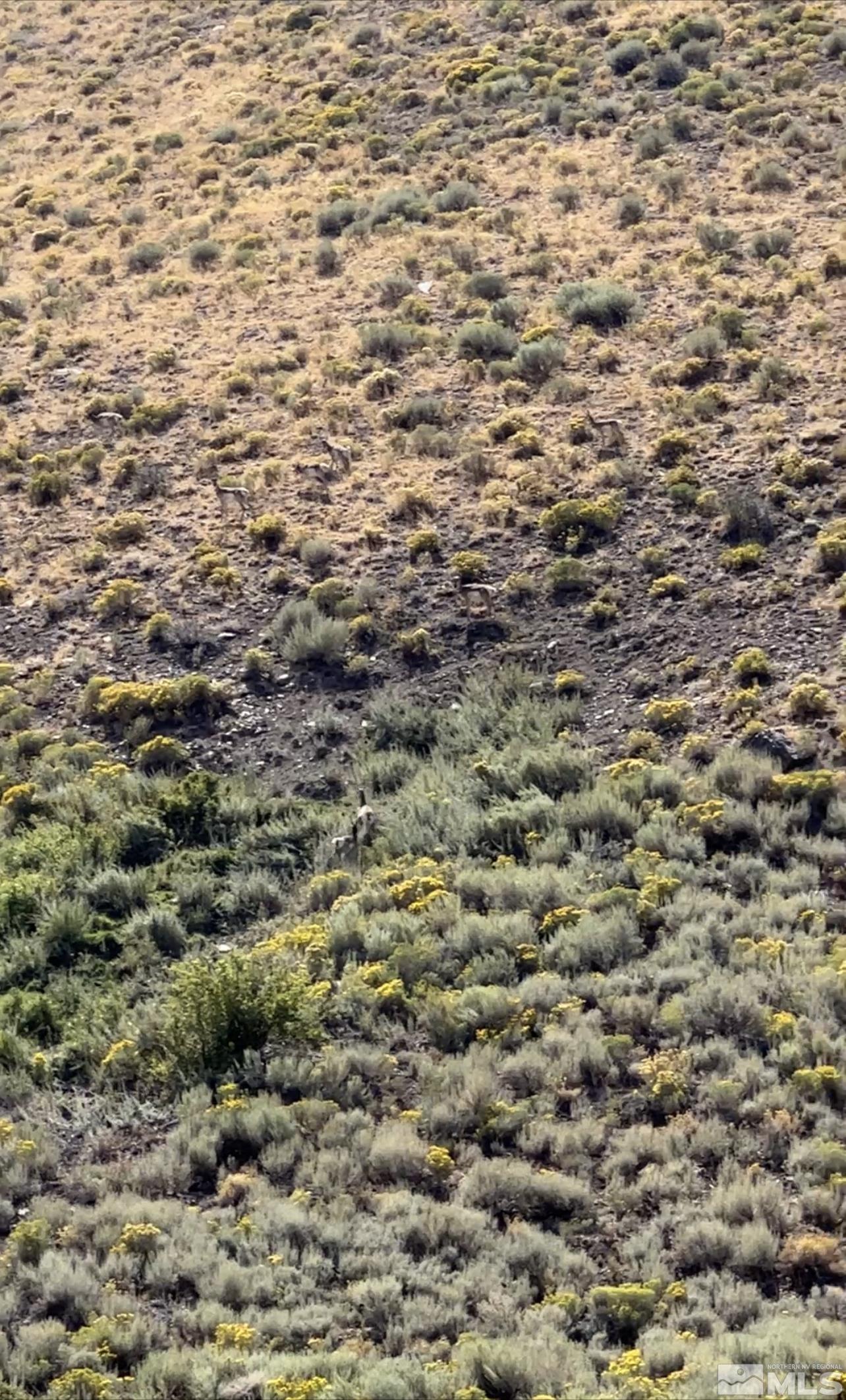 Apn Unit 008-650-0 Apn Unit 86500