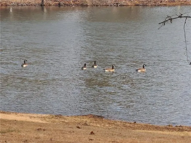 a view of an interior of a house