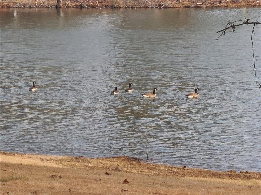 1401 Rainey Road Temple, GA 30179 - Photo 15 of 58 a view of a lake view