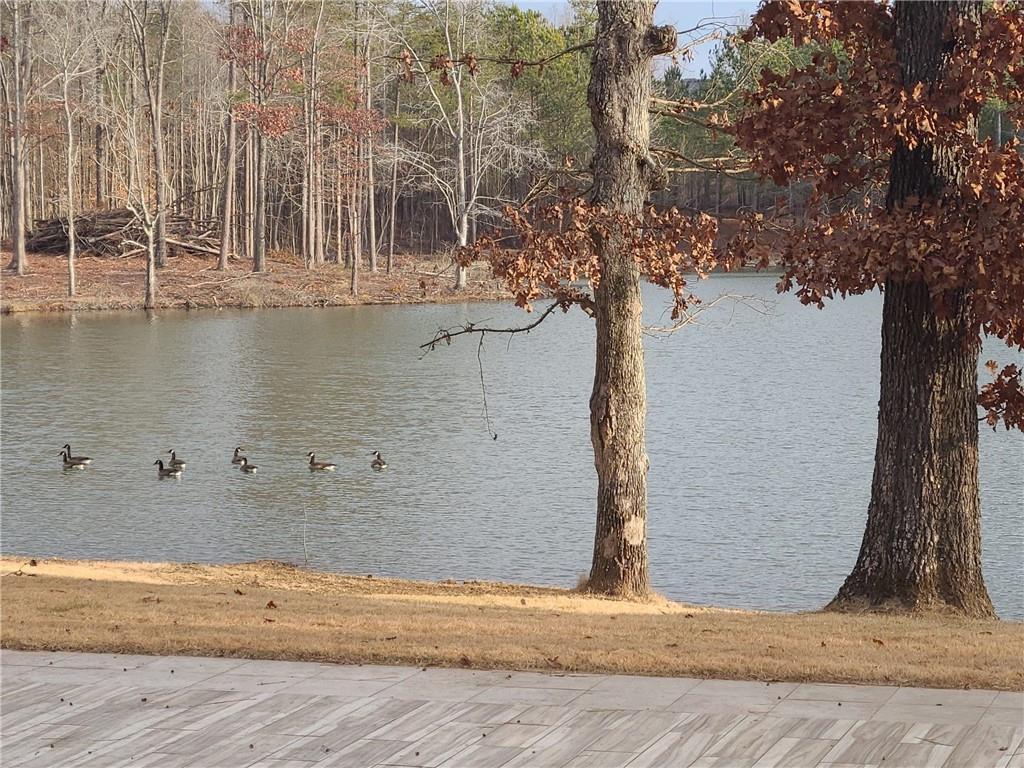 1401 Rainey Road Temple, GA 30179 - Photo 16 of 58 a view of outdoor space