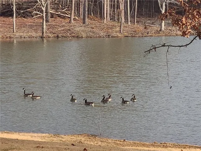 a view of a golf course
