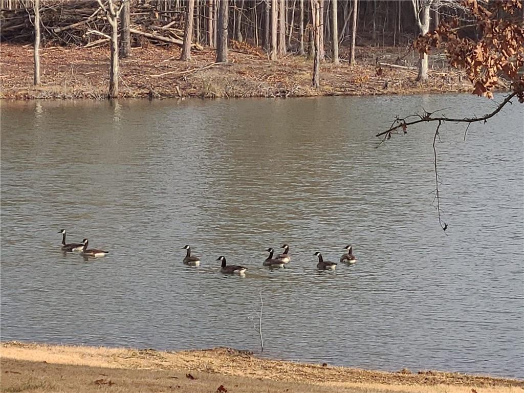 1401 Rainey Road Temple, GA 30179 - Photo 17 of 58