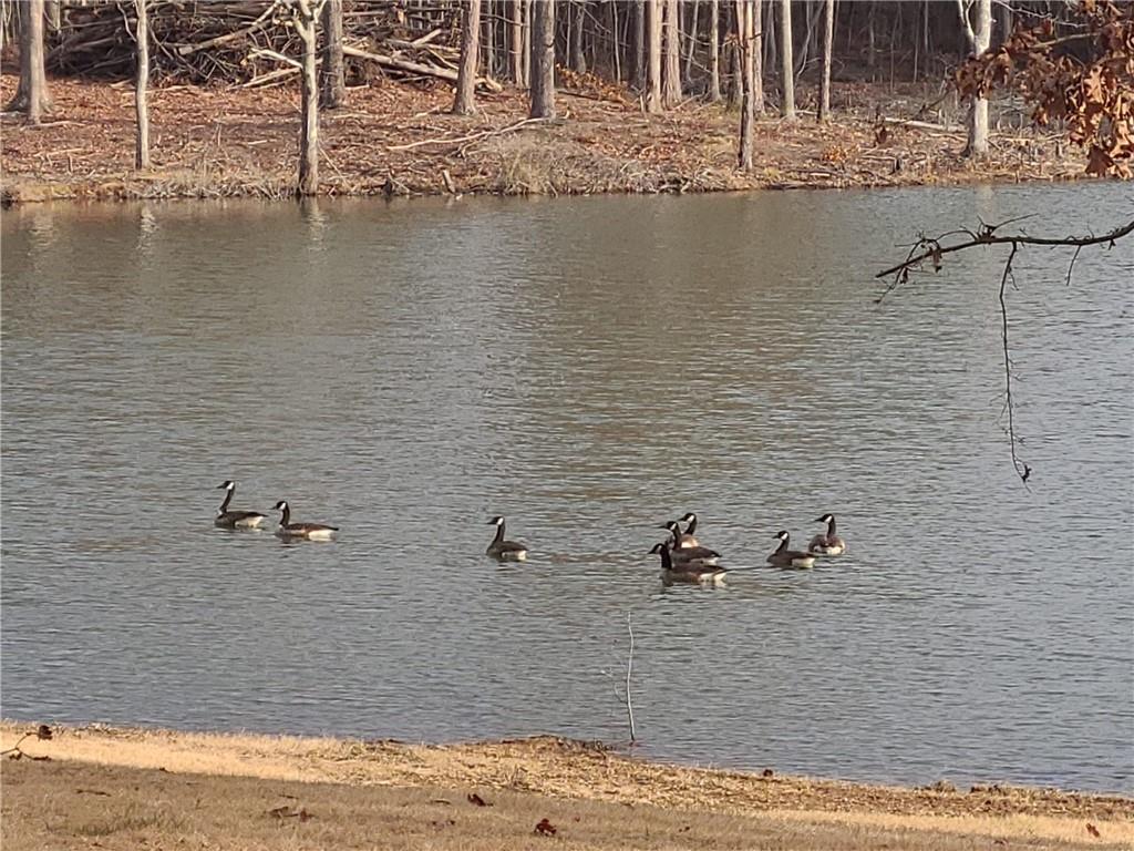 1401 Rainey Road Temple, GA 30179 - Photo 18 of 58 a bathroom with a shower