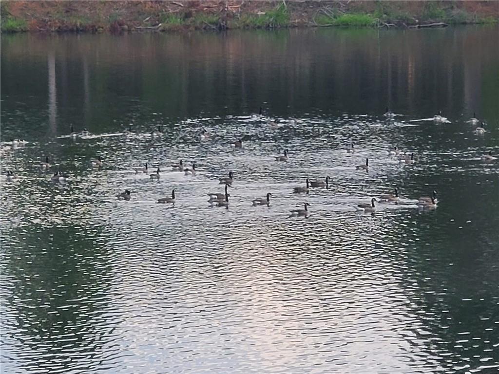 1401 Rainey Road Temple, GA 30179 - Photo 19 of 58