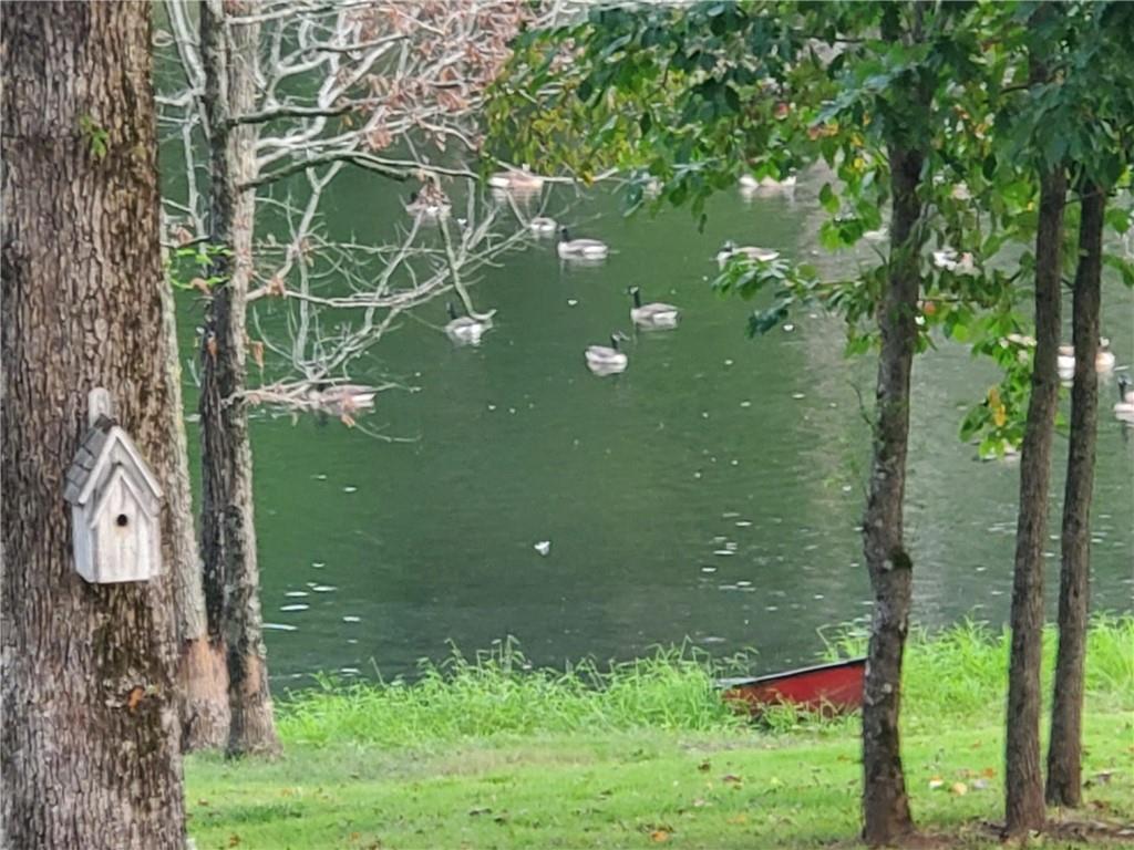 1401 Rainey Road Temple, GA 30179 - Photo 20 of 58 a view of an interior of a house