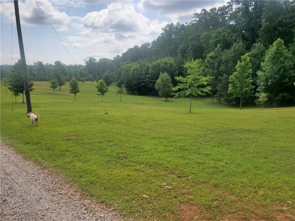 1401 Rainey Road Temple, GA 30179 - Photo 22 of 58 a view of a golf course