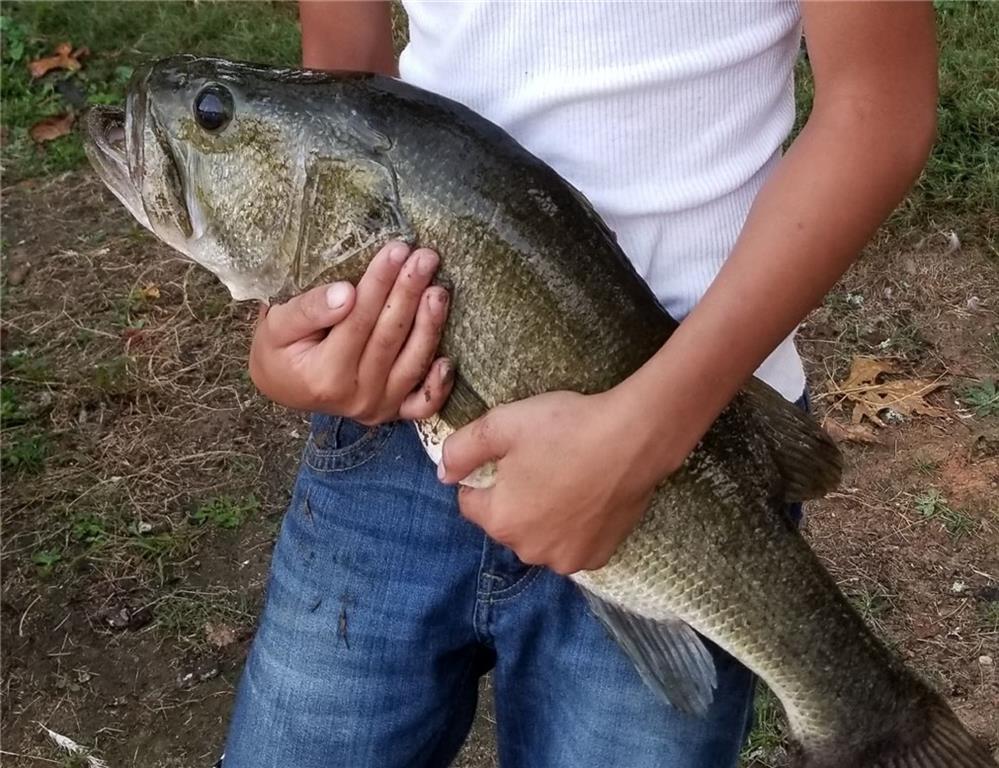 1401 Rainey Road Temple, GA 30179 - Photo 23 of 58 a view of entryway