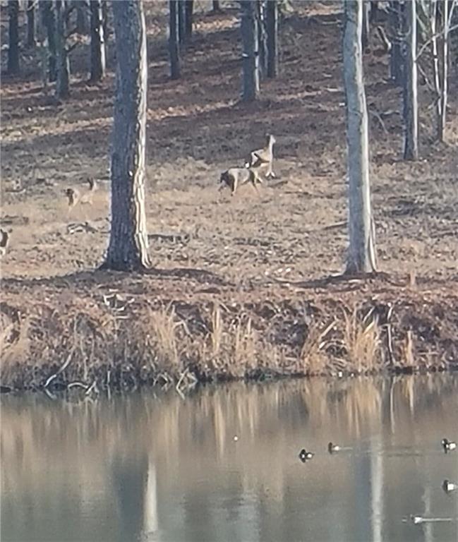 1401 Rainey Road Temple, GA 30179 - Photo 24 of 58