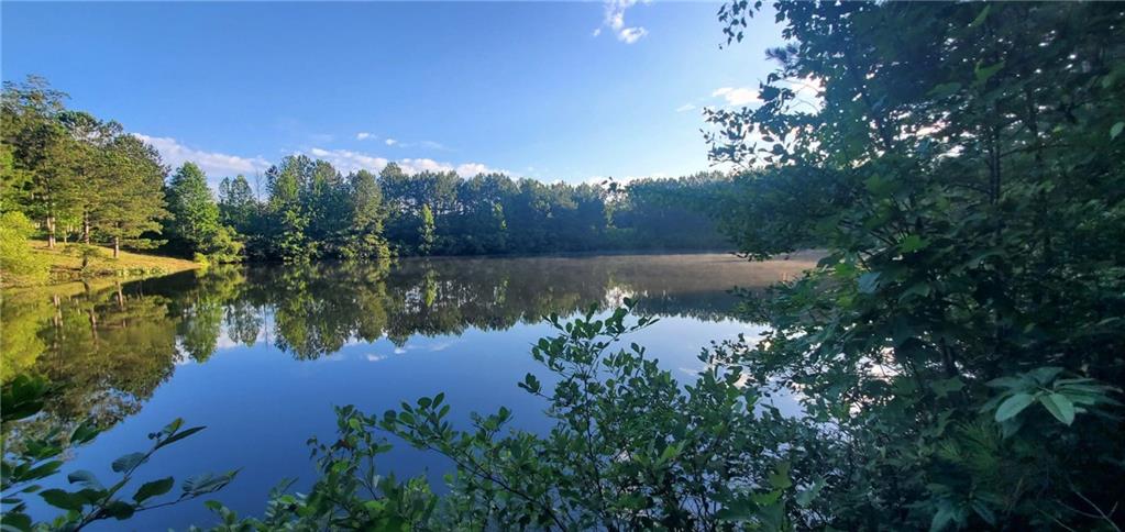 1401 Rainey Road Temple, GA 30179 - Photo 26 of 58 a view of a lake in middle of forest