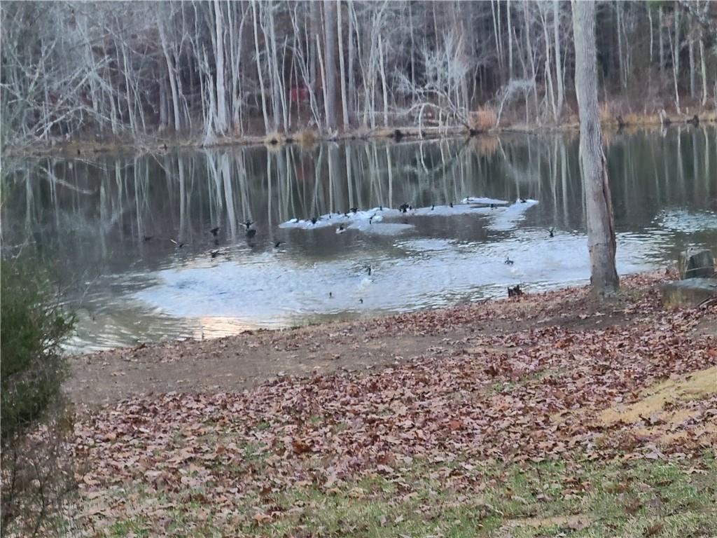 1401 Rainey Road Temple, GA 30179 - Photo 28 of 58 a backyard of a house
