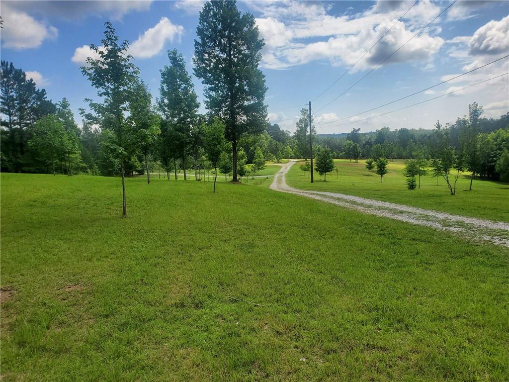 1401 Rainey Road Temple, GA 30179 - Photo 29 of 58 a view of a park with large trees