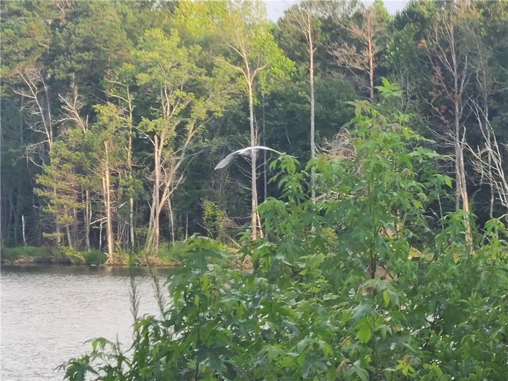 1401 Rainey Road Temple, GA 30179 - Photo 30 of 58 a backyard of a house with lots of green space and fountain