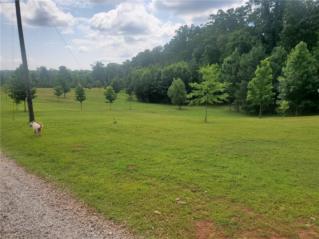 1401 Rainey Road Temple, GA 30179 - Photo 31 of 58 a view of a golf course