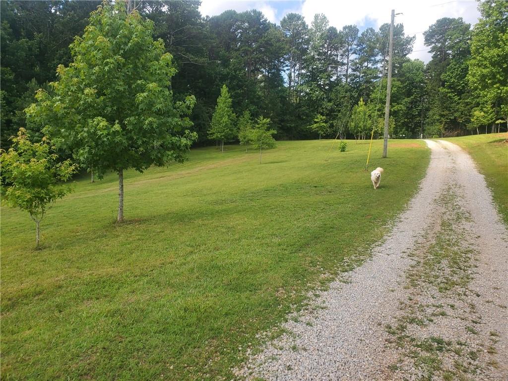 1401 Rainey Road Temple, GA 30179 - Photo 35 of 58 a view of a park with large trees