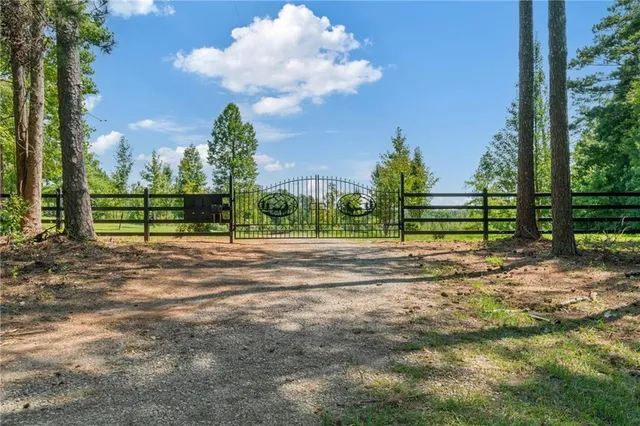 a view of a backyard with large trees