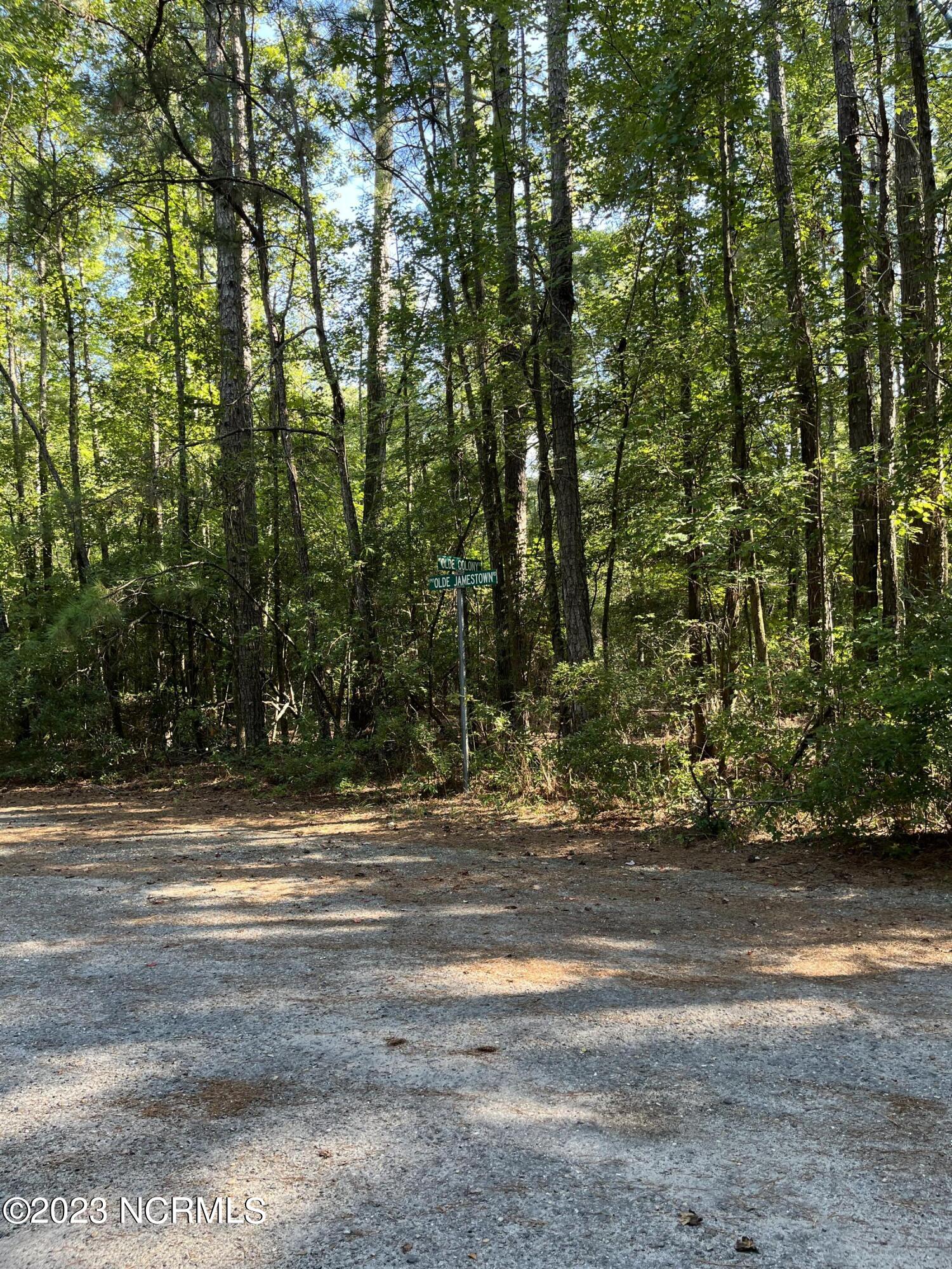 95 Old Colony Road Kinston, NC 28504 - Photo 1 of 1 IMG-3581