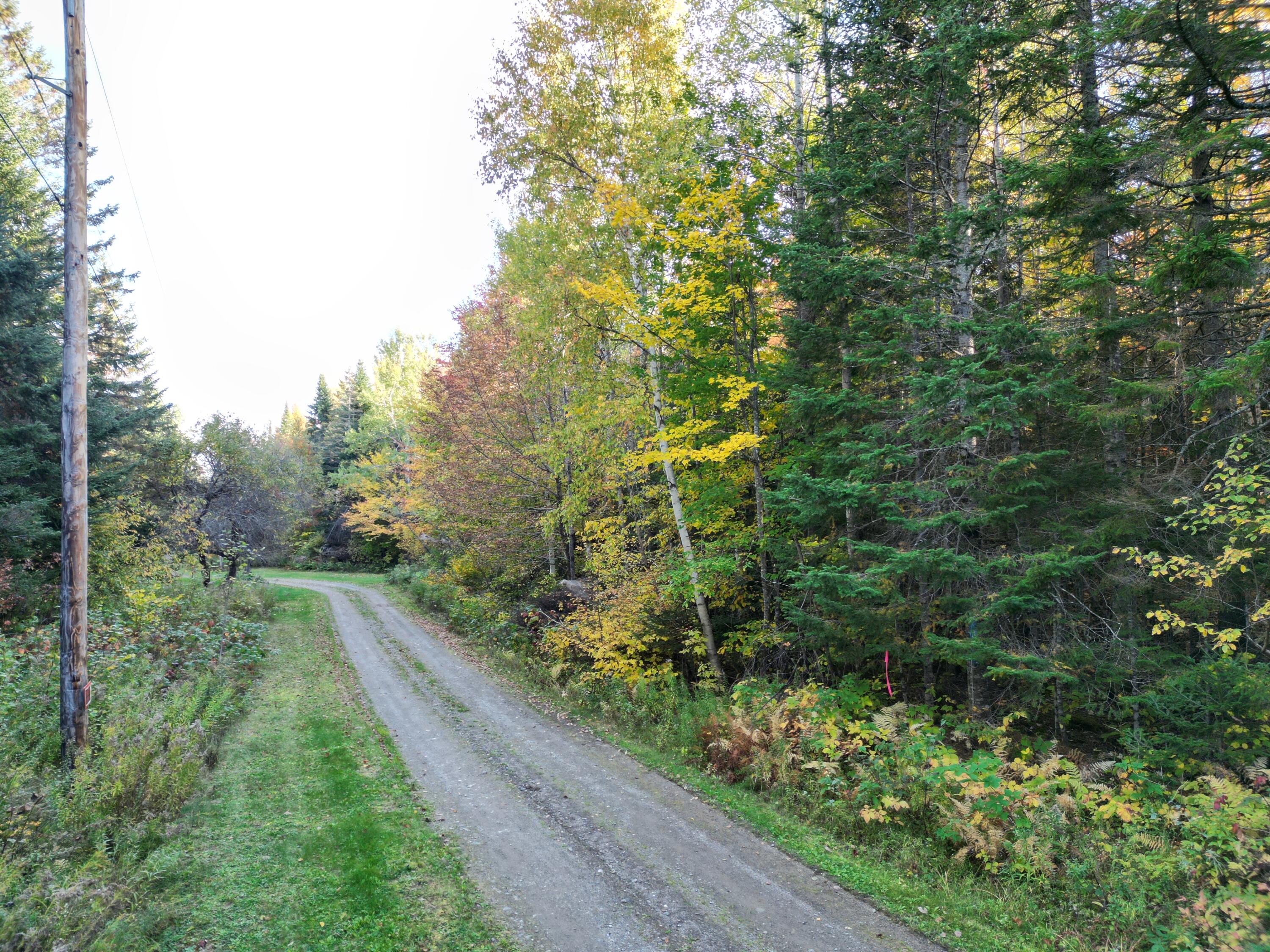 Lot 1-2 West Tucker Ridge Road Springfield, ME 04487 - Photo 3 of 20 DJI_0349