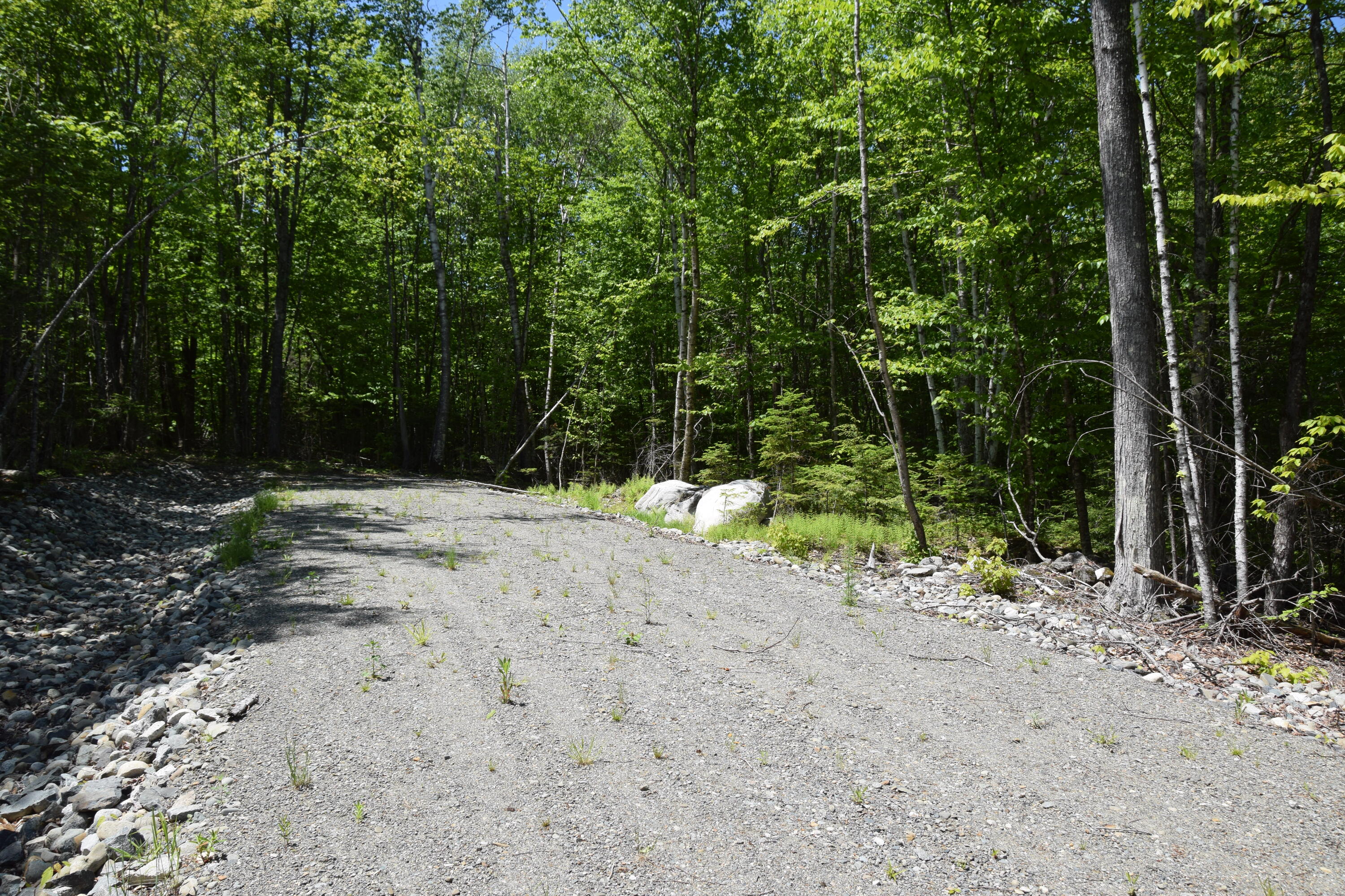 M7-l1-4 Pine Bluff Road Embden, ME 04958 - Photo 7 of 21 DSC_0011