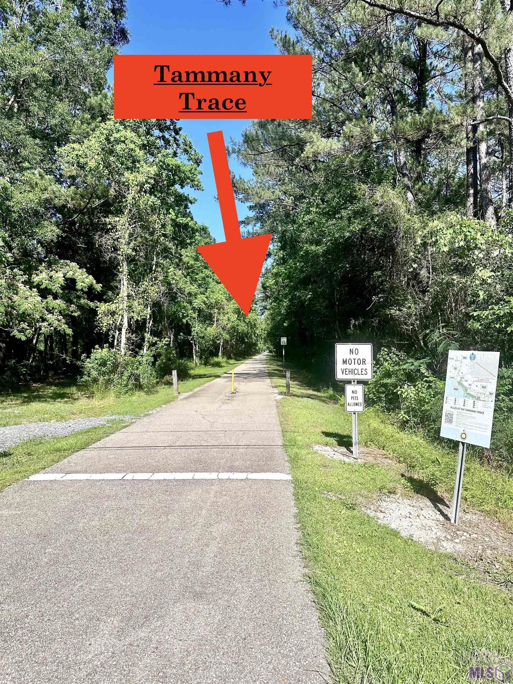 Lot# A-2-2 Lot Road Covington, LA 70433 - Photo 4 of 10
